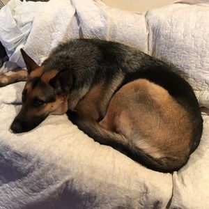 Meet your Posher, Kathy